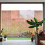 Schuurwoning