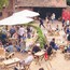 BAR BOTANIEK